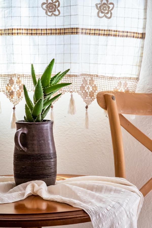 סקופלוס טאון Yianna Cottage Studios מראה חיצוני תמונה