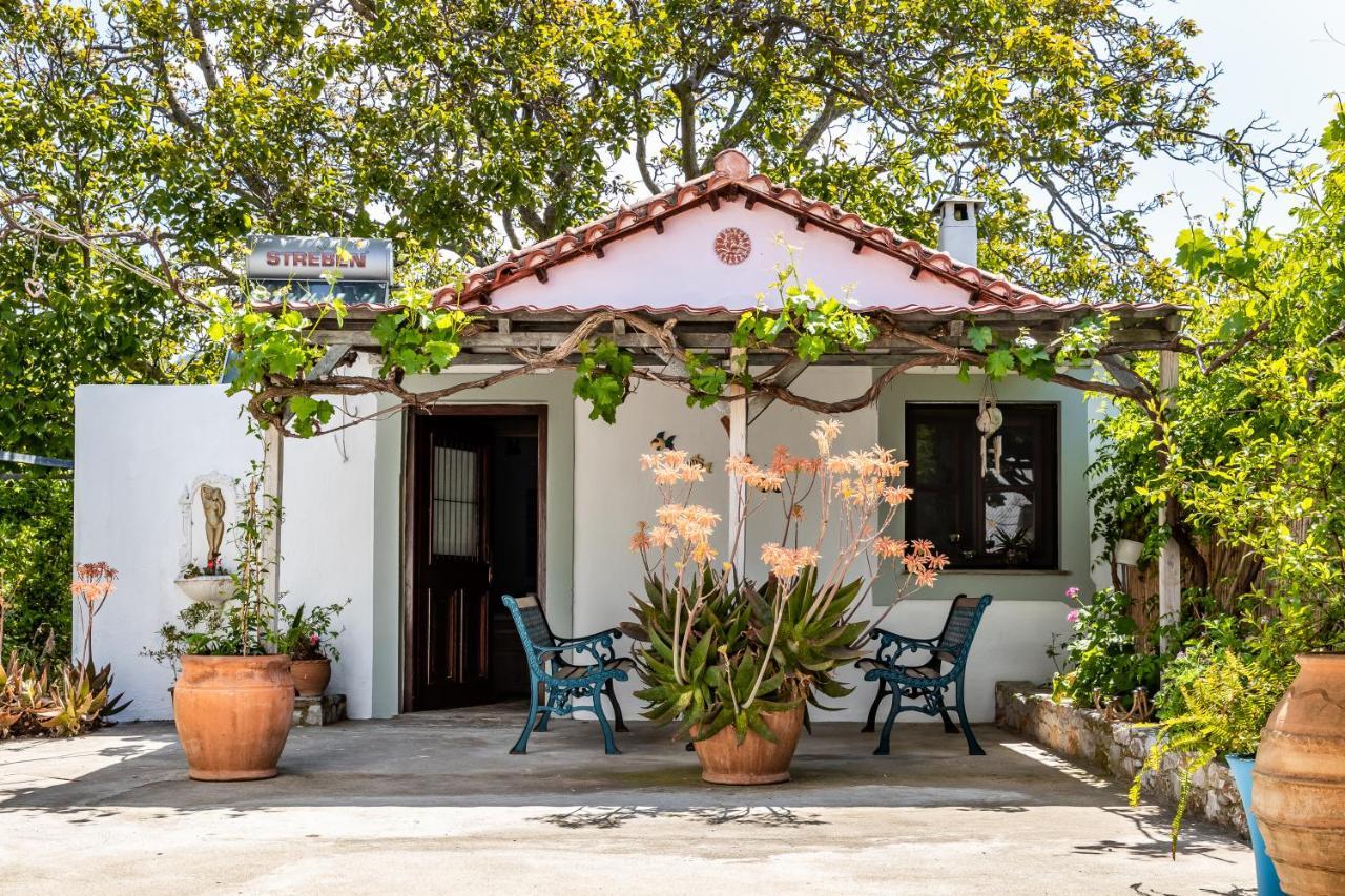 סקופלוס טאון Yianna Cottage Studios מראה חיצוני תמונה