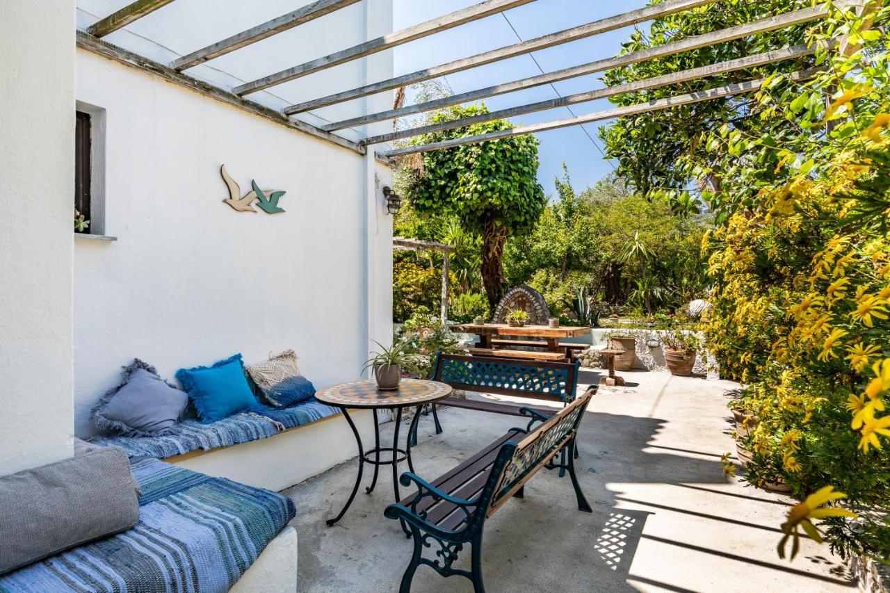 סקופלוס טאון Yianna Cottage Studios מראה חיצוני תמונה